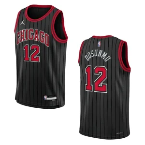 Youth Chicago Bulls 2022-23 Statement Edition Ayo Dosunmu Black Jersey - Alzaintravels